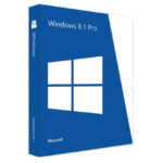 Windows 8.1 Professional OEM